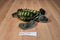 Fiesta Green Sea Turtle Plush