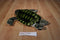 Fiesta Green Sea Turtle Plush