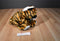 SKM Bengal Tiger Beanbag Plush with a Gold Bow