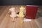 Disney Store Lion King Simba and Nala Plush and Hardcover Book