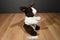 Gund Borders Brown and White Dutch Bunny Rabbit Beanbag Plush