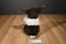 Gund Borders Brown and White Dutch Bunny Rabbit Beanbag Plush