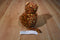 Ty Pluffies Pokey the Leopard 2003 Beanbag Plush