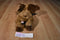 Ty Classic Mortimer Moose 1995 Beanbag Plush
