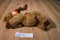Ty Classic Mortimer Moose 1995 Beanbag Plush