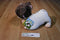 Kohl's Cares The Pokey Little Puppy Plush and Book
