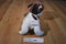 Kohl's Cares The Pokey Little Puppy Plush and Book