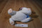 Kohl's Cares The Pokey Little Puppy Plush and Book