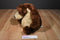 Gund Goober Brown and Beige Bear Beanbag Plush