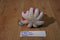 Ty Beanie Boos Ollie Pink Octopus 2012 Beanbag Plush