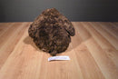 Gund Marley Brown Teddy Bear Green and Red Scarf Beanbag Plush