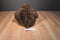 Gund Marley Brown Teddy Bear Green and Red Scarf Beanbag Plush