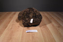 Gund Marley Brown Teddy Bear Green and Red Scarf Beanbag Plush