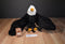 Folkmanis Bald Eagle Puppet Plush