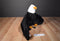 Folkmanis Bald Eagle Puppet Plush