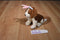 Walmart Brown and Beige Puppy with Pink Bunny Ears Plush
