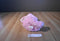 Hugfun Swirly Pink and White Bunny Rabbit Plush