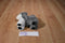 American Girl Husky Pepper Plush with Blue Eyes