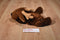 Hallmark Comet the Floppy Brown Reindeer with Bell Beanbag Plush
