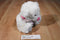 Caltoy Hug Me White and Pink Teddy Bear Plush
