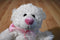 Caltoy Hug Me White and Pink Teddy Bear Plush
