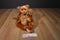 Ty Classic Skootch Amber Colored Bear 2000 Beanbag Plush