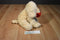 Best Made Toys Golden Retriever Puppy Dog with Red Rose Beanbag Plush