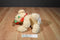 Best Made Toys Golden Retriever Puppy Dog with Red Rose Beanbag Plush