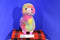 Bearington Annabelle Alpaca Llama Neon Rainbow Plush
