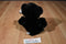 Wishpets Benjamin Black Bear 2010 Plush