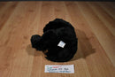 Wishpets Benjamin Black Bear 2010 Plush