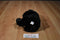 Wishpets Benjamin Black Bear 2010 Plush