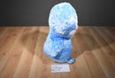 Ty Beanie Boos Large and Small Ice Cube Blue/ White Penguin Beanbag Plush