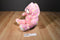 Build-A-Bear Pink  Bunny Rabbit Plush with White Daisy Flowers
