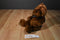Commonwealth Brown Teddy Bear 2001 Beanbag Plush