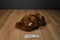 Commonwealth Brown Teddy Bear 2001 Beanbag Plush
