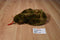 Ty Buddies Slither Green and Brown Snake Beanbag Plush