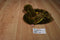 Ty Buddies Slither Green and Brown Snake Beanbag Plush
