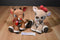 Kids Preferred Rudolph and Clarice Reindeer Plushs
