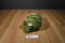 DGE Green Frog Beanbag Plush