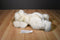 MJC Purr-fection White Bear With Black Frosted Tipped Fur 1992 Plush