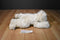 MJC Purr-fection White Bear With Black Frosted Tipped Fur 1992 Plush