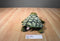 Aurora Green Sea Turtle 2016 Beanbag Plush