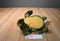 Aurora Green Sea Turtle 2016 Beanbag Plush