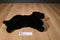 Russ Yomiko Black Labrador Beanbag Plush
