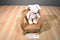 Boyd's Lofton Q. McSwine Pink Pig 1998 Beanbag Plush