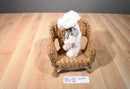 Boyd's Lofton Q. McSwine Pink Pig 1998 Beanbag Plush