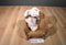 Boyd's Lofton Q. McSwine Pink Pig 1998 Beanbag Plush
