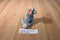 Ty Buddies and Babies Hopper Grey Bunny Rabbit Beanbag Plush