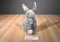 Ty Buddies and Babies Hopper Grey Bunny Rabbit Beanbag Plush